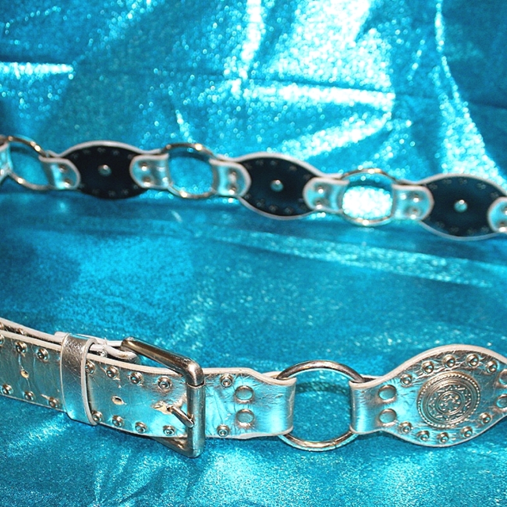 Vintage Lake Shore Drive Belt